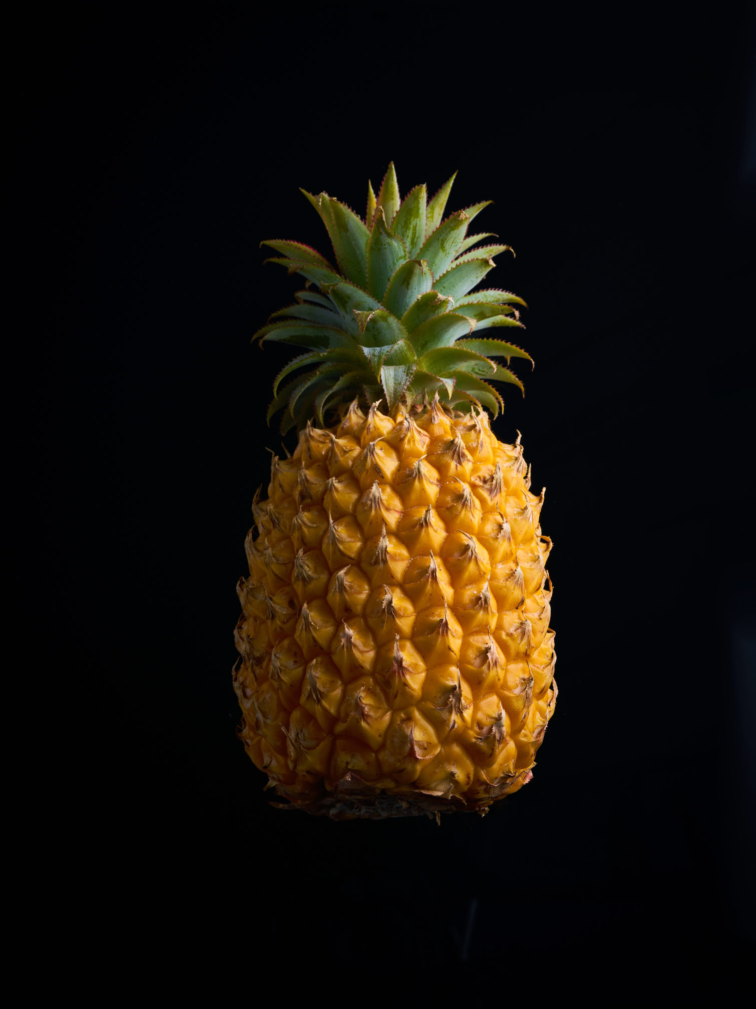 lilot-fruits-capexo-ananas-la-reunion